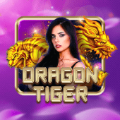 Dragon Tiger superking live casino